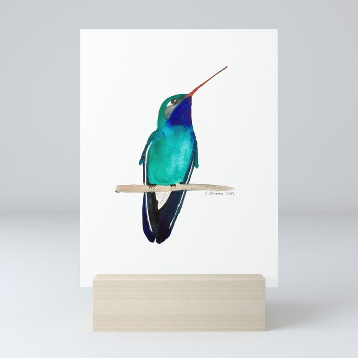 Broad-billed Hummingbird Mini Art Print