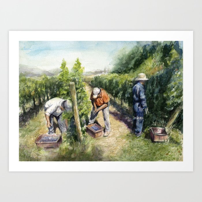 Vineyard Watercolor Landscape Wine Grapes Nature Art Print