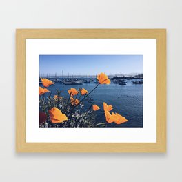 Monterey Framed Art Print