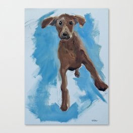 Dancing Dog Canvas Print