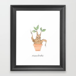 Mandrake Framed Art Print