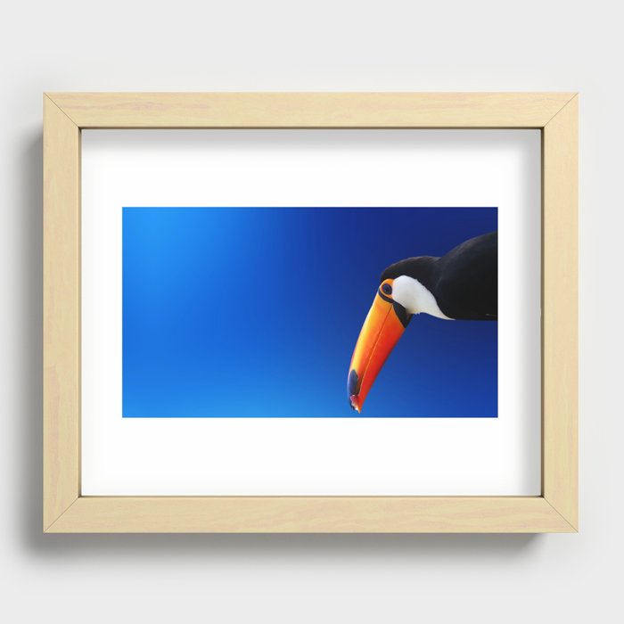 Miraculous Rare Paradise Bird Isolated UHD Recessed Framed Print