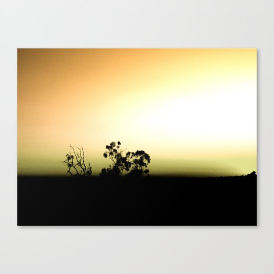 Twisted Trees Canvas Print
