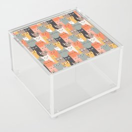 Silly Cats Acrylic Box