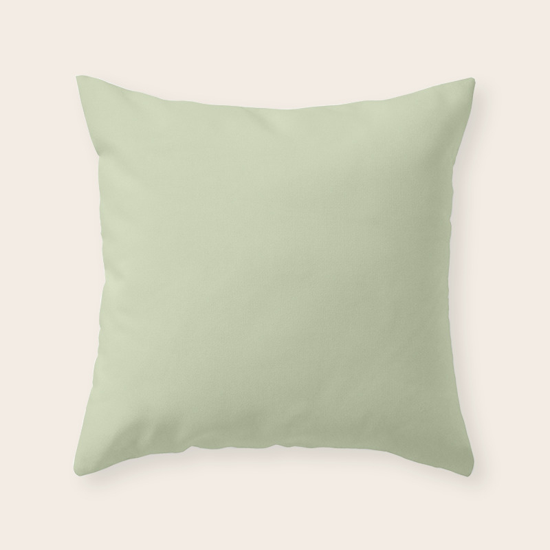 Solid Color Soft Pastel Melon Pairs To Pantone Seafoam Green 12