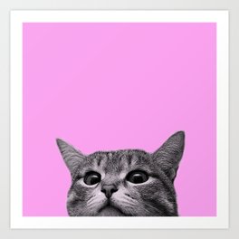 Curious Cat Art Print