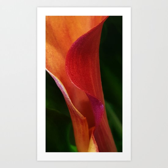 Inner She Folds Art Print