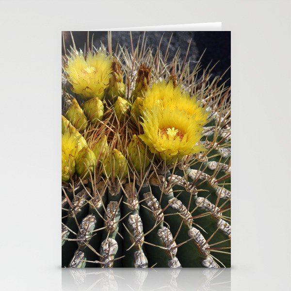Mexico Photography - Beautiful Barrel Cactus Up-Close Stationery Cards