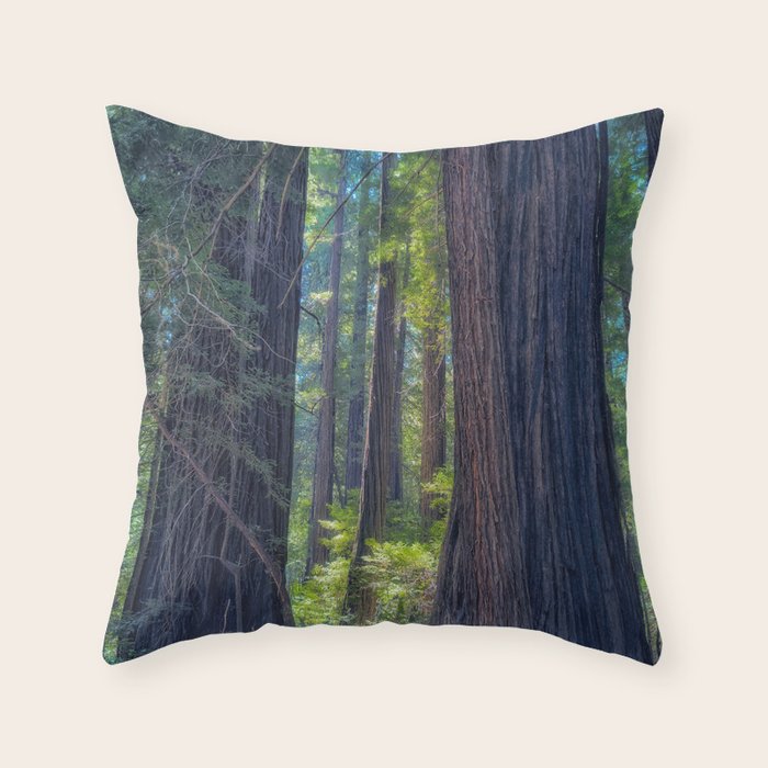 Throw Pillow