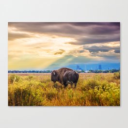 The Great American Bison Canvas Print