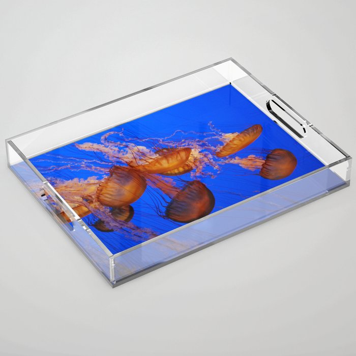 Floating Jellyfishes Acrylic Tray