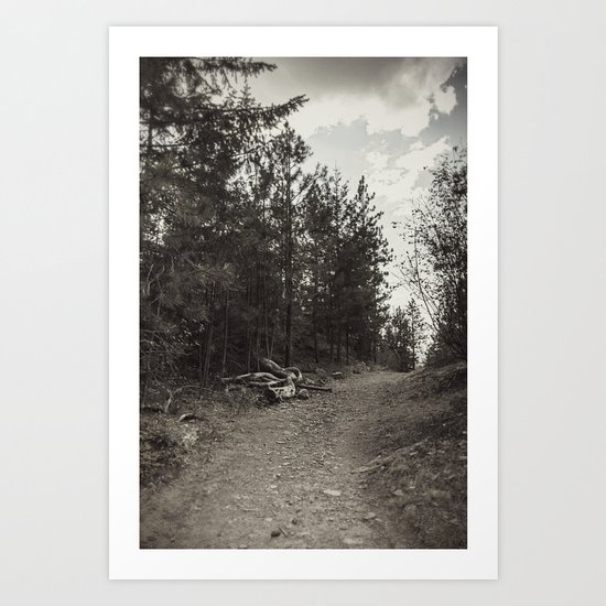 up the path Art Print