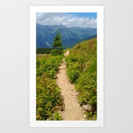 Mountain Path Art Print