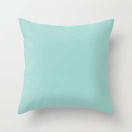 Light Pastel Aquamarine Green Blue Solid Color Pairs To Sherwin Williams Aqueduct SW 6758 Throw Pillow