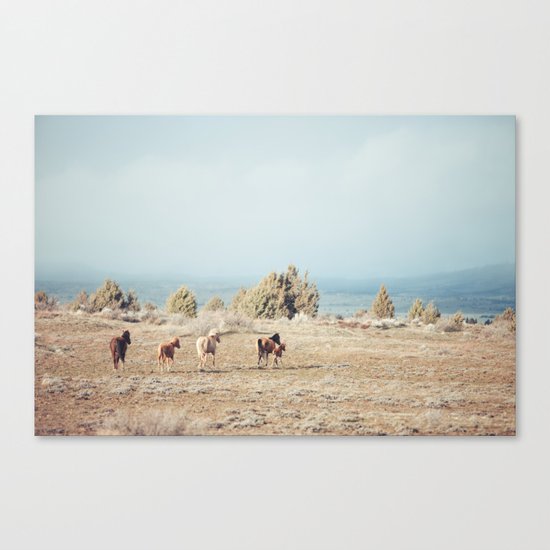 Oregon Wilderness Horses Canvas Print