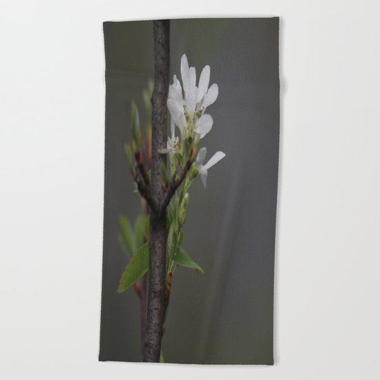 Twig and Blossom Beach Towel