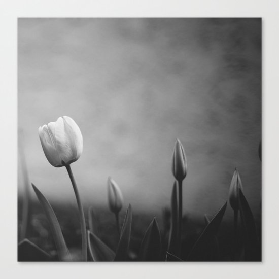 Needful Things Canvas Print