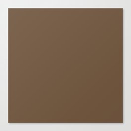 UMBER BROWN SOLID COLOR Canvas Print