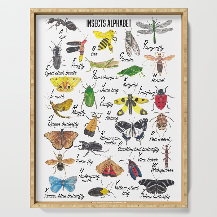 Insects Alphabet Serving Tray