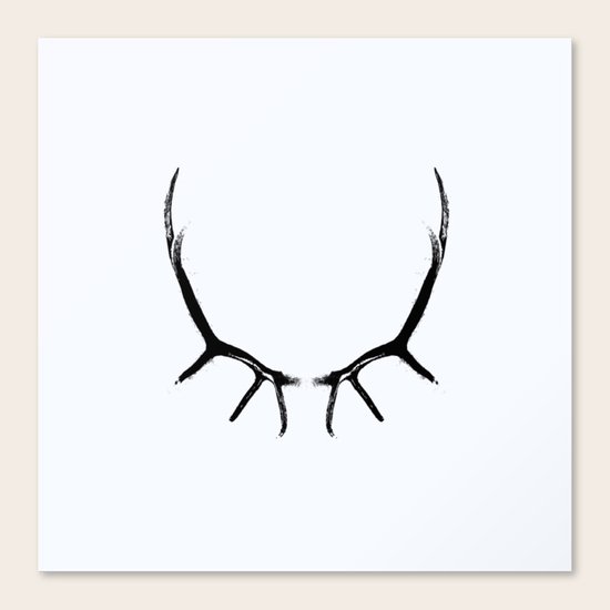 horns Canvas Print