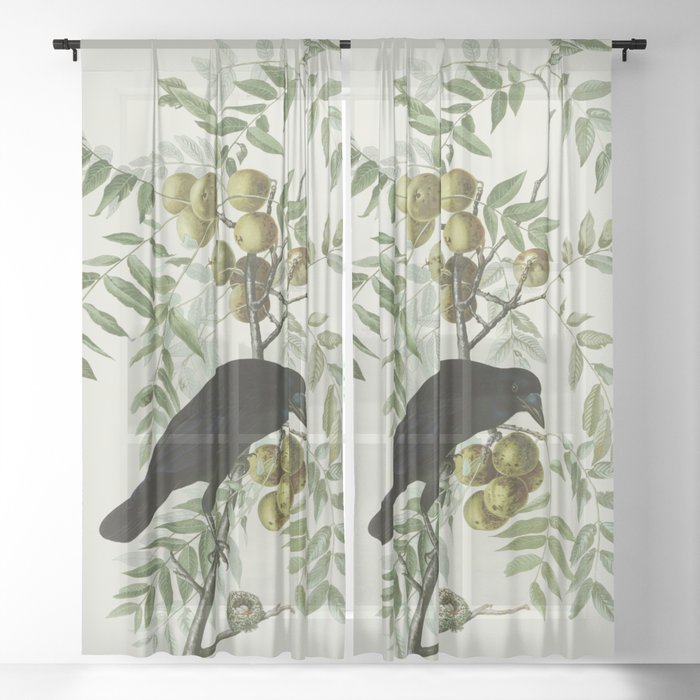 Sheer Curtain