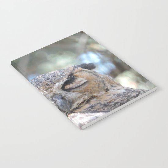Owl Wink Notebook