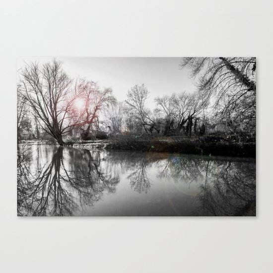 TREE-FLECTION Canvas Print