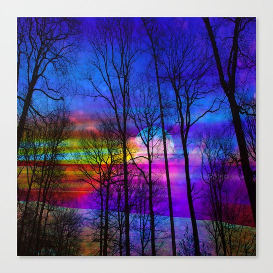 Moon Canvas Print