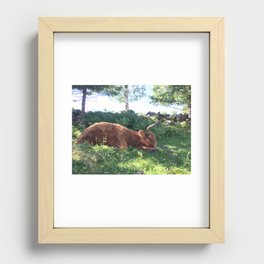 Fluffy Highland Cattle Cow 1184 Recessed Framed Print