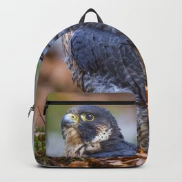 Peregrine Falcon Backpack