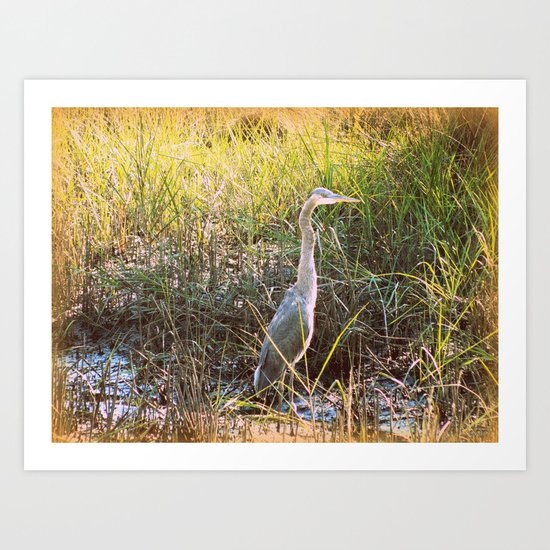 Patience Art Print
