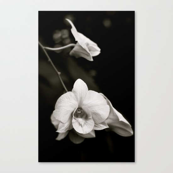 Shadows Canvas Print