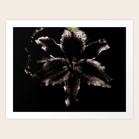 Dark Lily Art Print