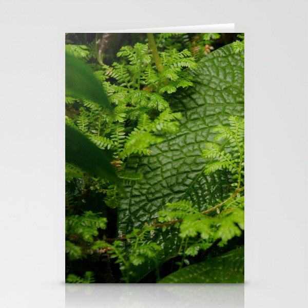 Nature Stationery Cards