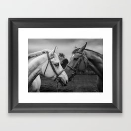 Horses of Instagram II Framed Art Print