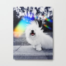 Rainbow Bliss Smile - Wigglesworth Flooftastic Coton de Tulear Dog Metal Print