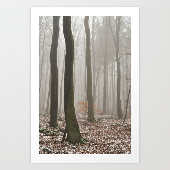 misty woods Art Print