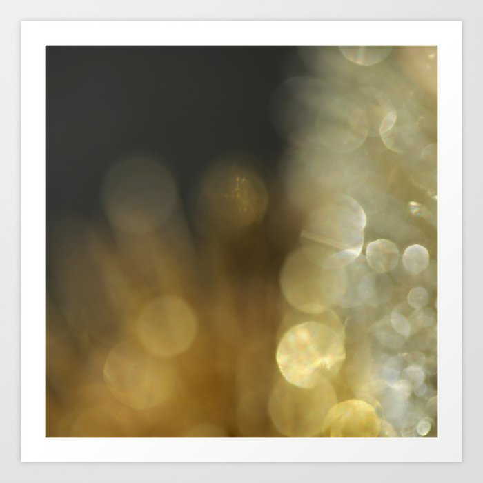 Gold and Silve #2 Art Print