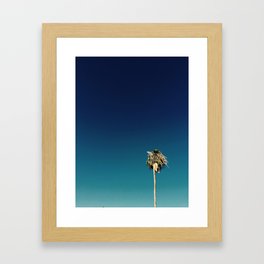 Palm Trees Los Angeles Framed Art Print