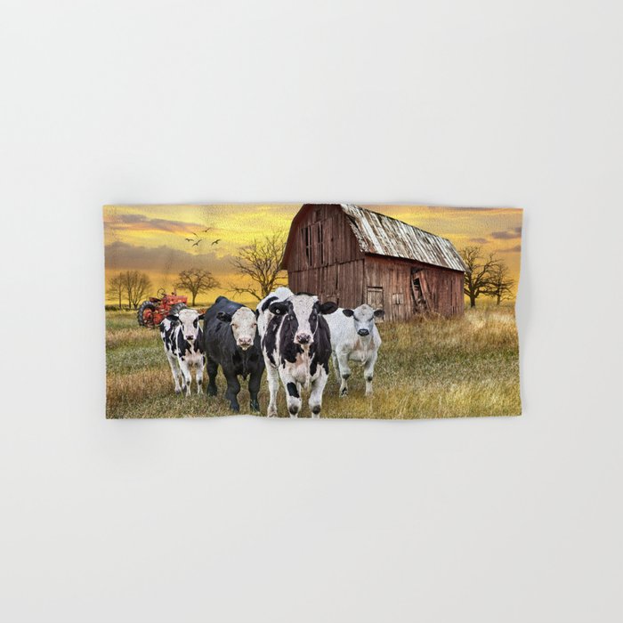 Cattle in the Midwest with Barn and Tractor at Sunset Hand & Bath Towel