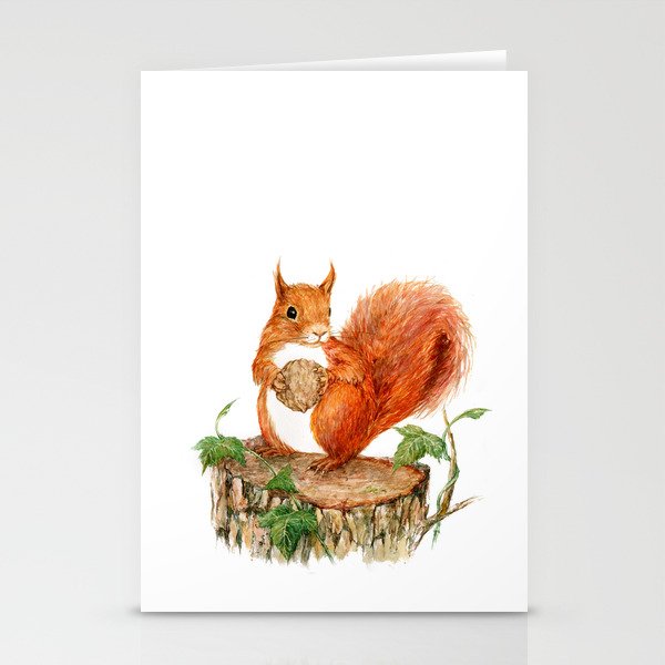 Squirrel Stationery Cards