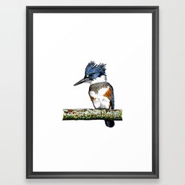 BELTED KINGFISHER Framed Art Print | Birdillustration, America, Bird, Nature, Birdart, Acrylic, Pastel, Americanbirds, Animalart, Illustration 