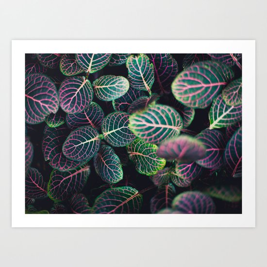 nature Art Print