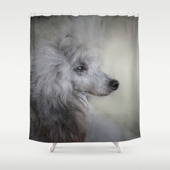 Longing Silver Standard Poodle Shower Curtain By Jaijohnson Society6