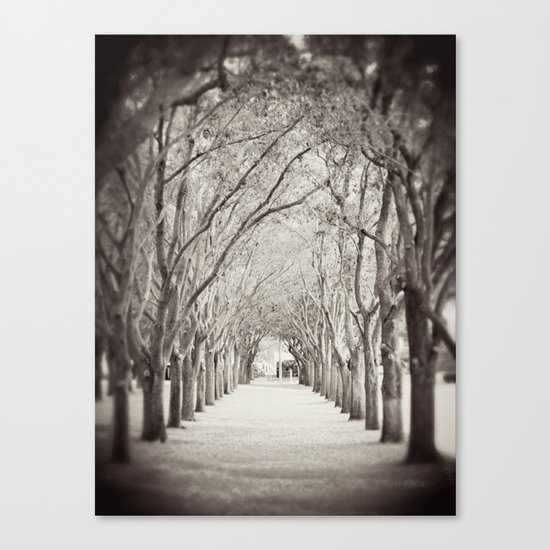 Follow the path Canvas Print
