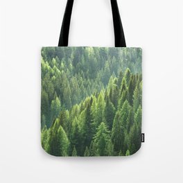 Pine tree forest in the morning fog Tote Bag