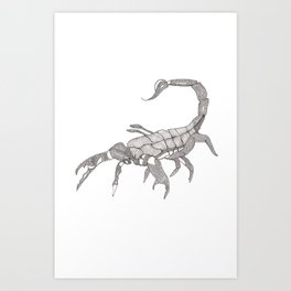 scorpion Art Print