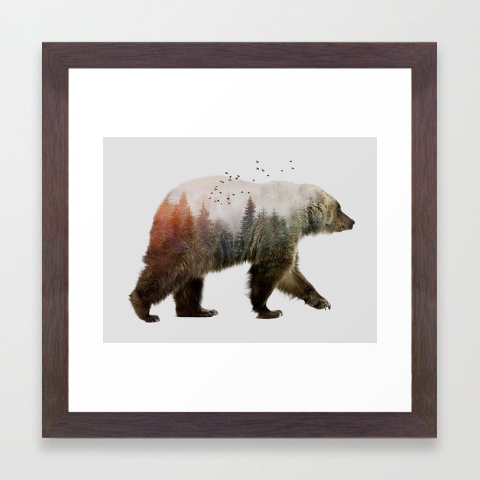 Bear Framed Art Print by sokolselmani | Society6