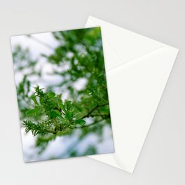 spring is in the air - nature photography - fresh greens and blues, signs of new life for upcoming spring Stationery Card