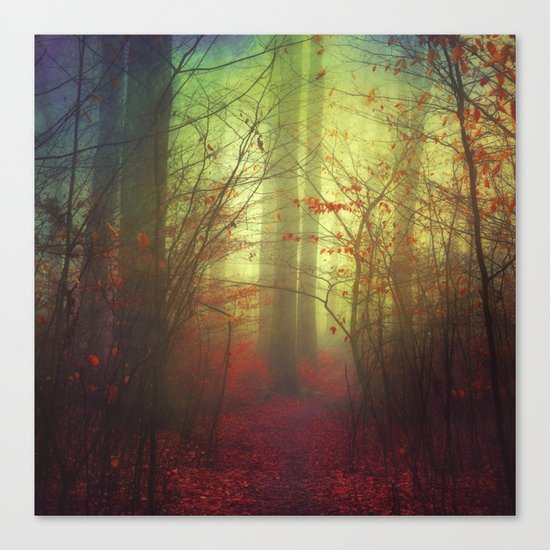 the way in - variation Canvas Print
